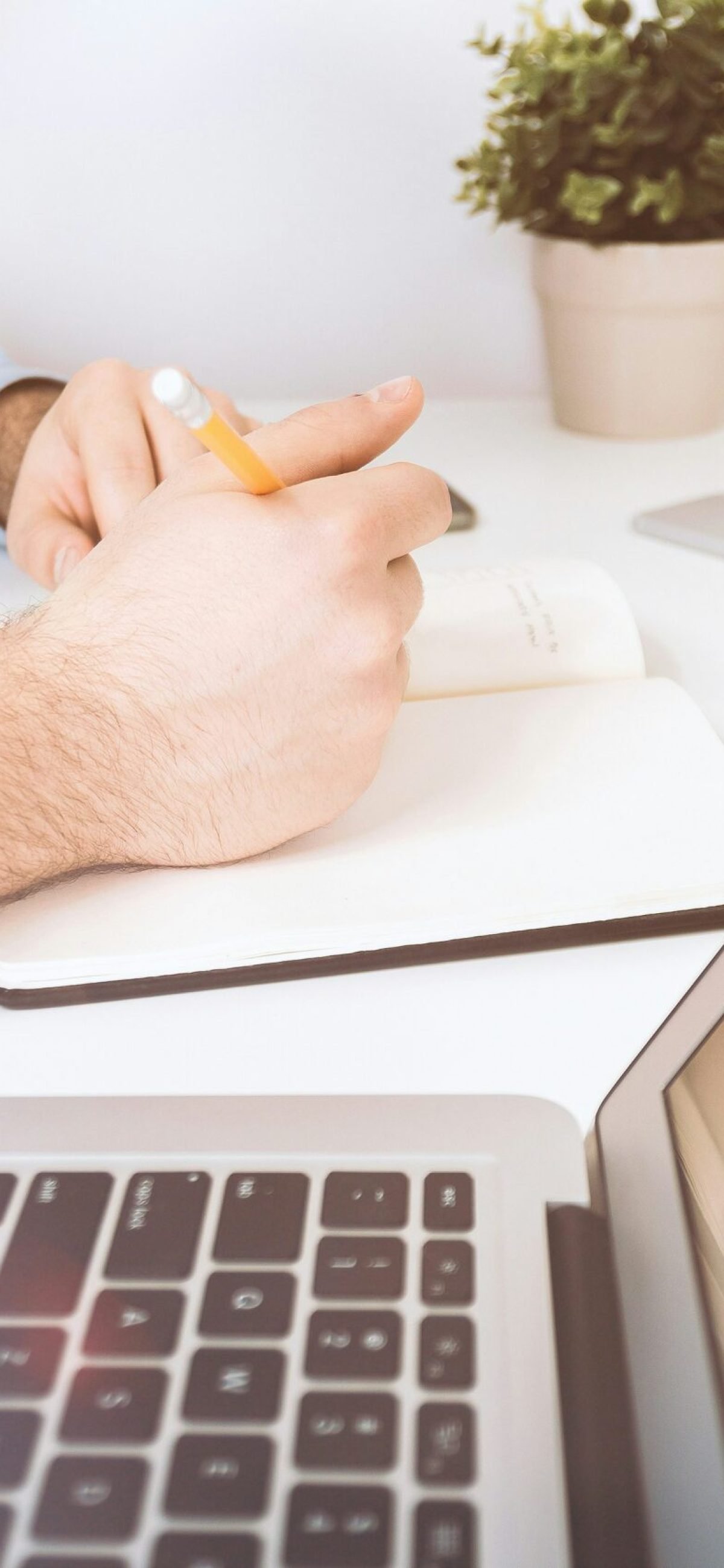 jeshoots-com-LtNvQHdKkmw-unsplash