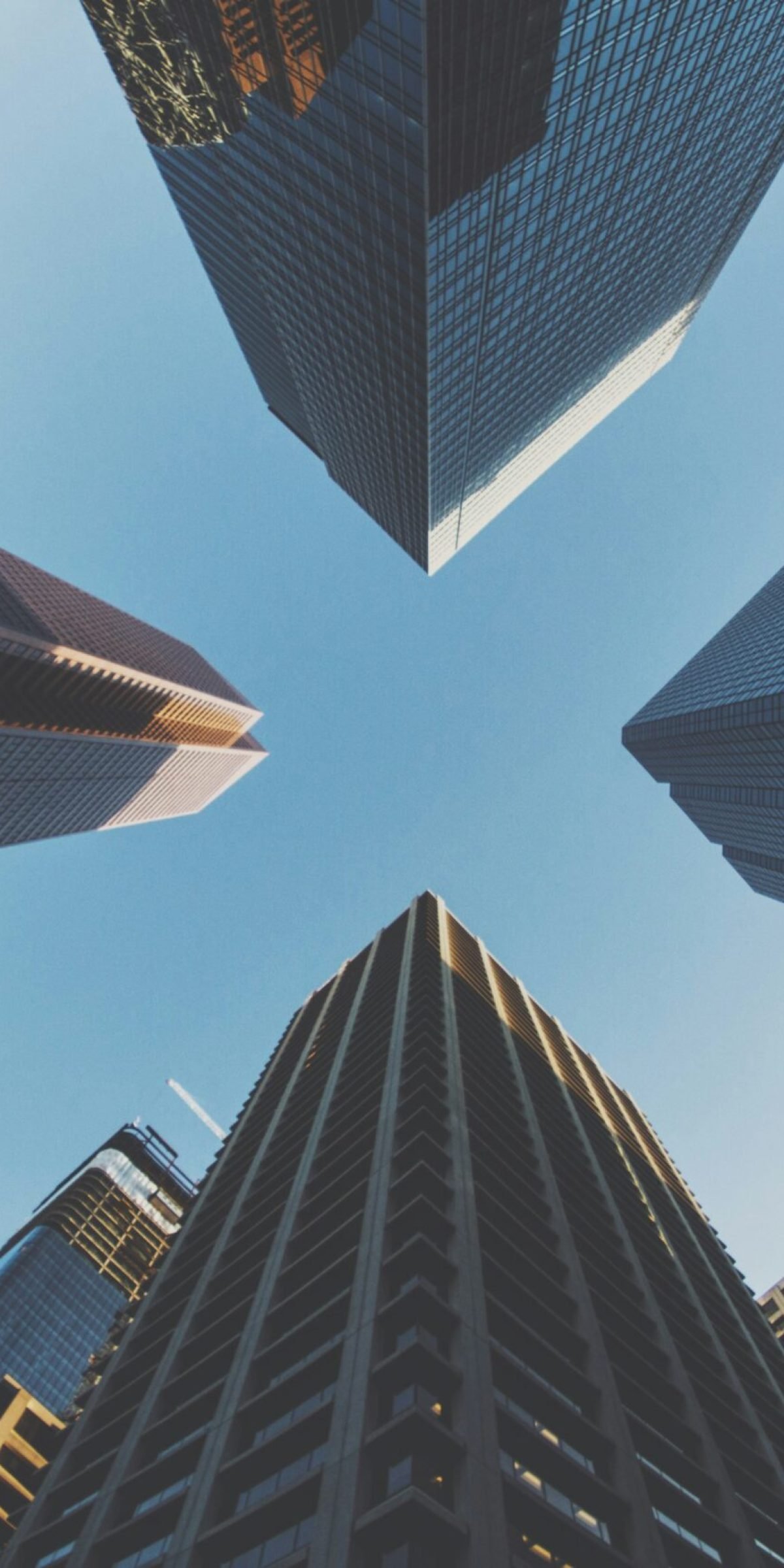 samson-ZGjbiukp_-A-unsplash